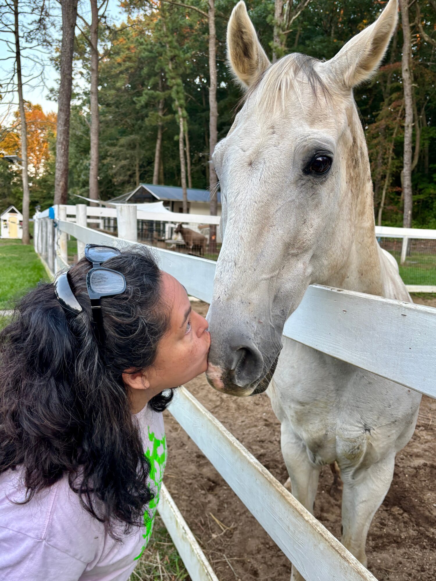 Girl with dark curly hair and glasses leaning toward a white horse at a fenced outdoor area.