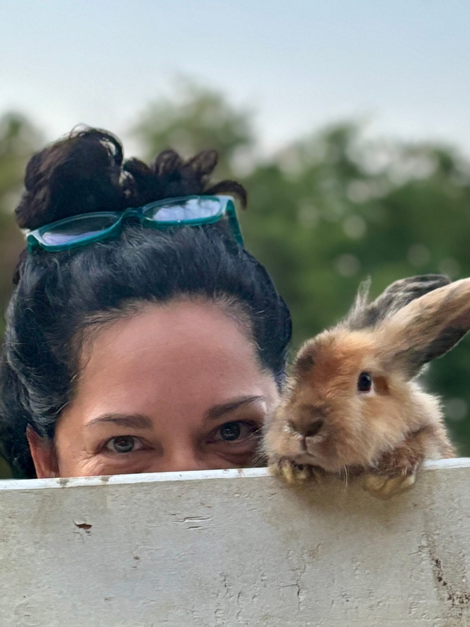 Person with dark hair and a bun, wearing glasses, peeks over a white fence with a rabbit beside her outdoors.