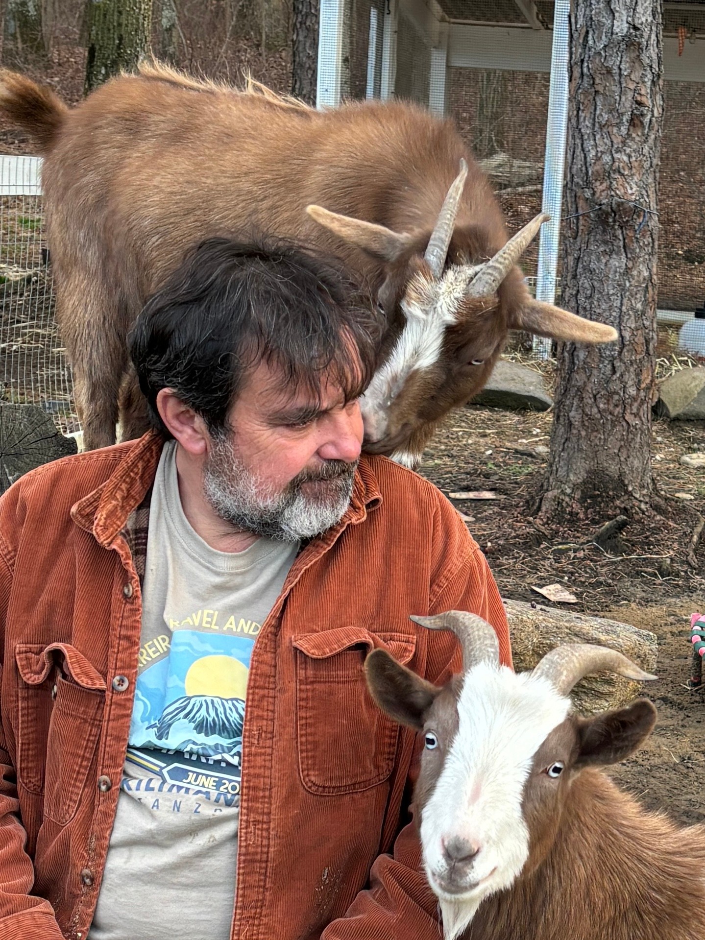 Man with dark hair and beard, wearing a brown jacket, sitting outdoors with a goat nearby. A goat is behind him, leaning over his head. Trees and a wooden fence are in the background.