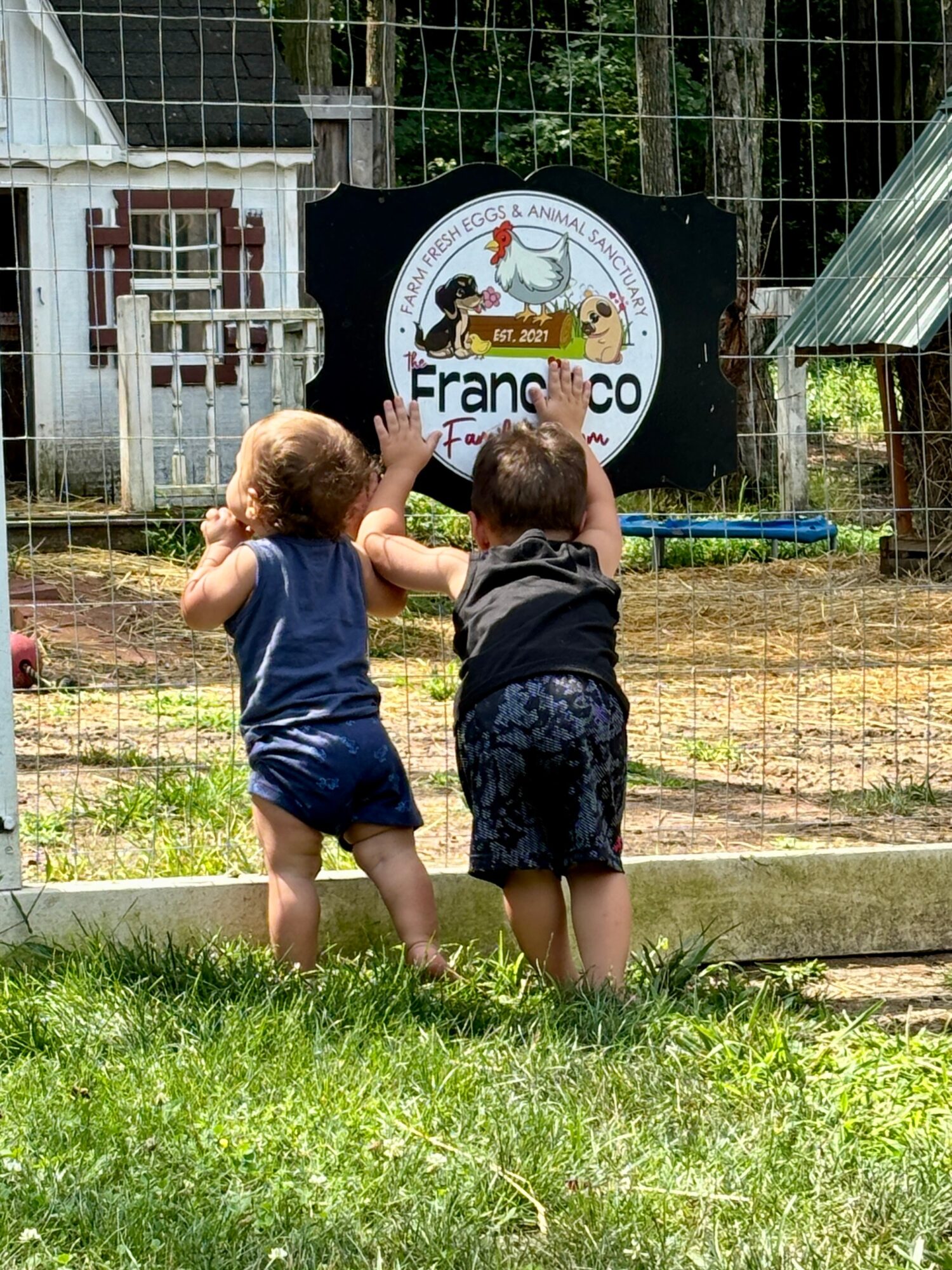 Two children stand outdoors facing a sign with a cartoon animal and text, surrounded by a wire fence and greenery.