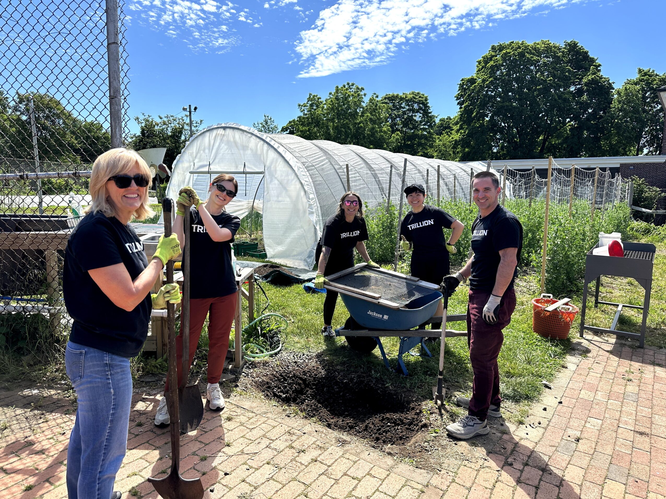 Group of five people planting a tree in a garden with a greenhouse and trees in the background, sunny day.