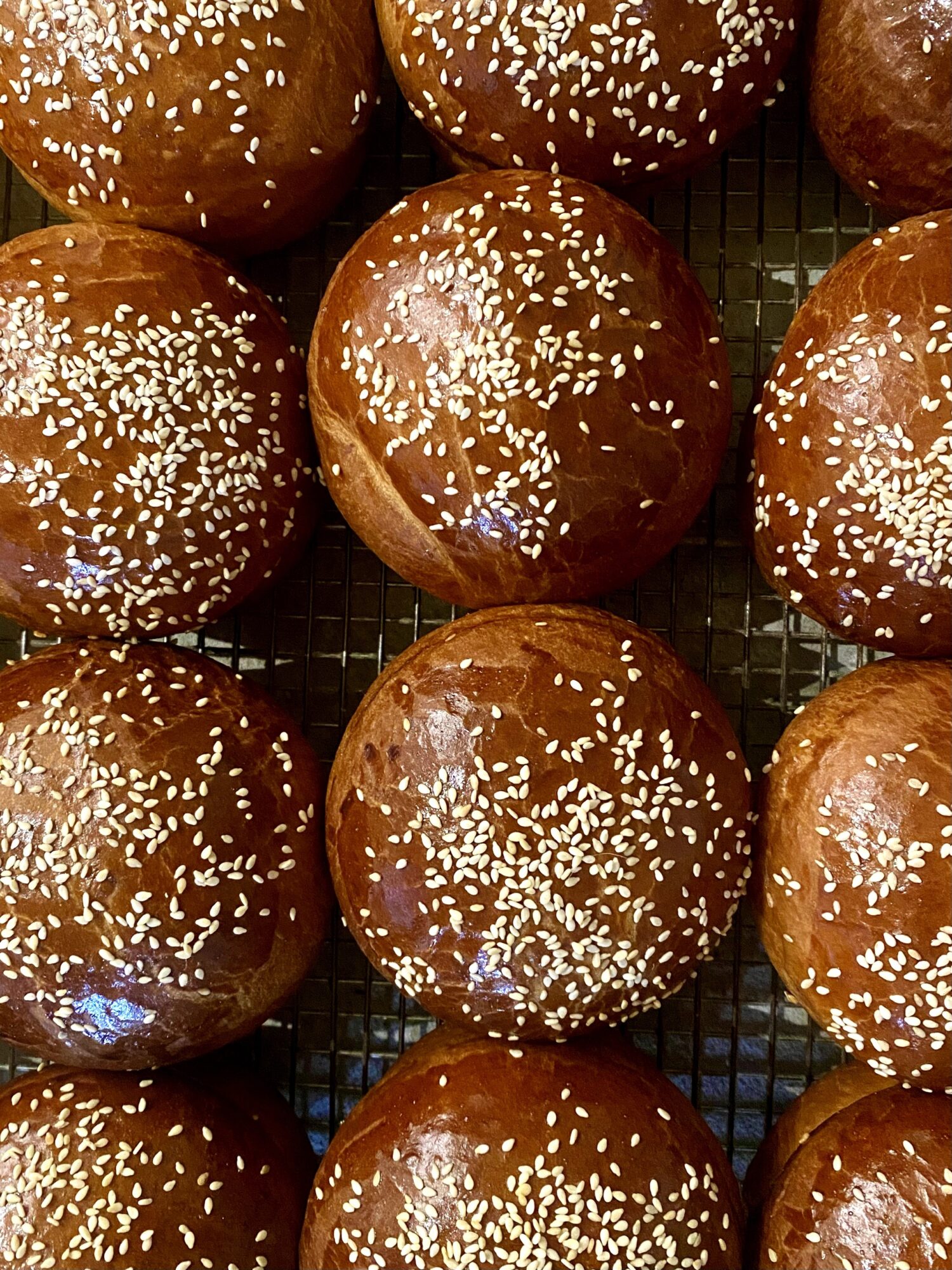Close-up of shiny, round bread rolls with sesame seeds on top, arranged on a cooling rack.