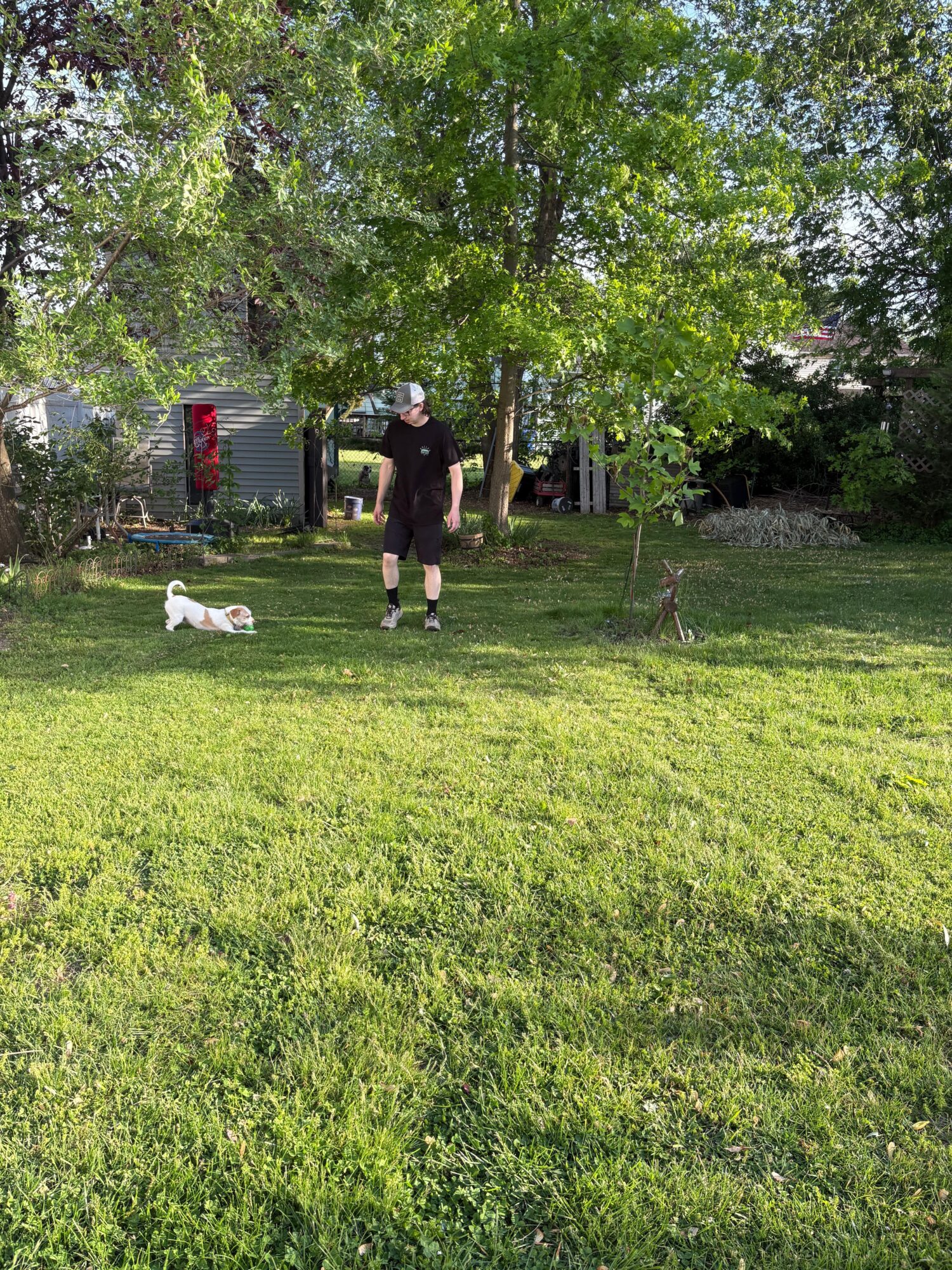 Two people walking on a grassy park with trees and a dog lying on the grass.