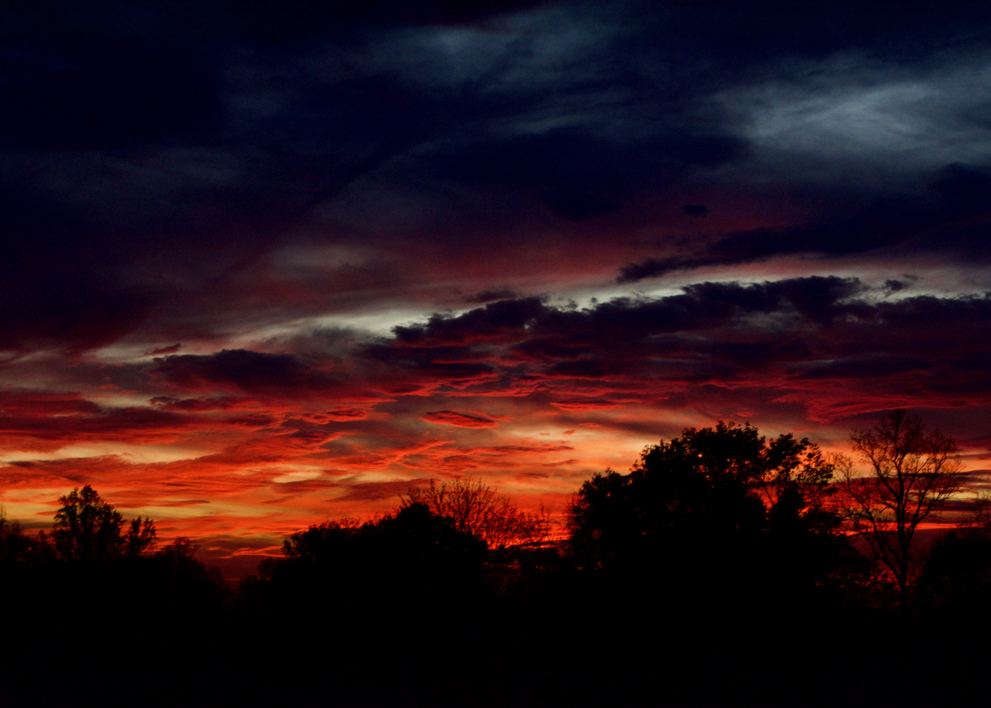 Colorful sunset sky with dark clouds and silhouettes of trees and bushes in the foreground.