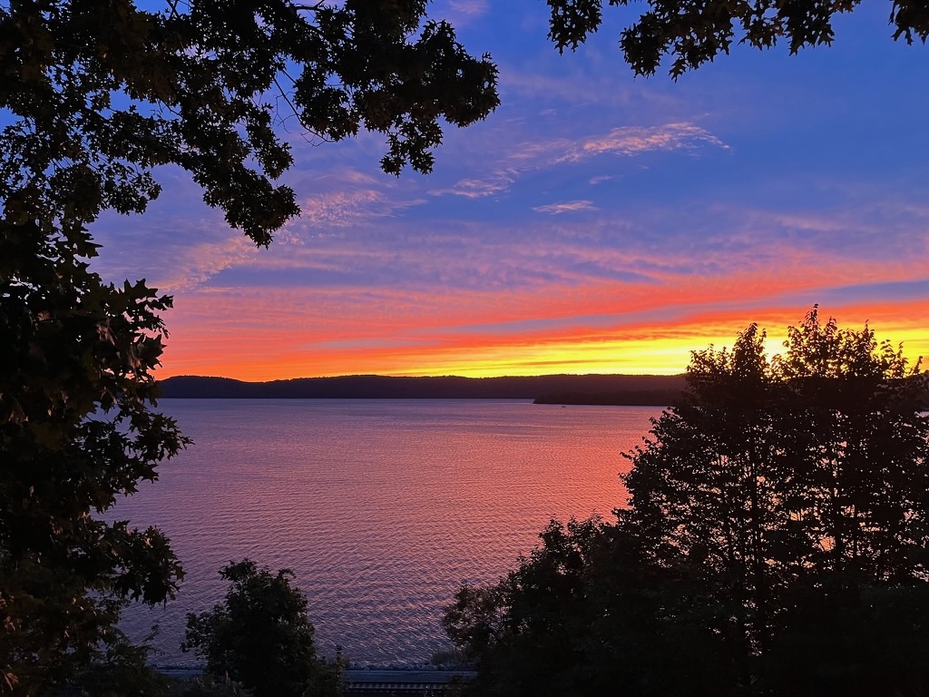 Sunset over a body of water with colorful sky, silhouetted trees in foreground, and distant land on horizon.