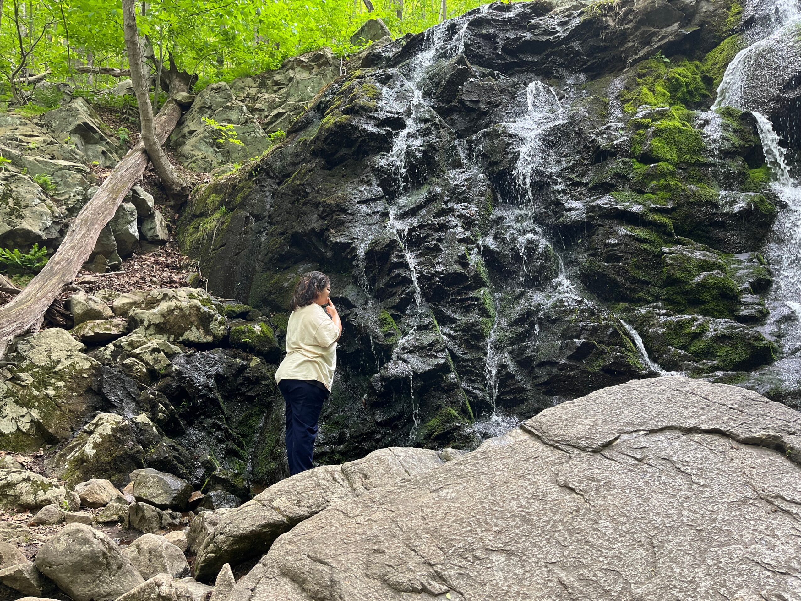 Person standing on rocks near a waterfall in a forested area with green trees.