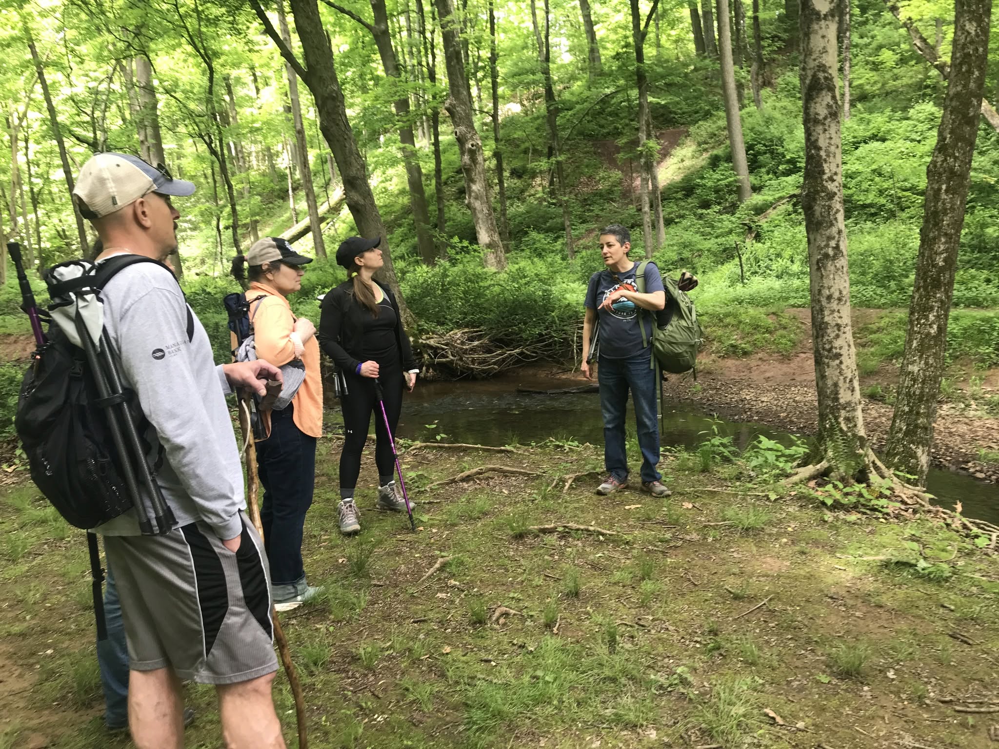 Group of five people standing in a forest clearing, listening to a person speaking, surrounded by trees and greenery.