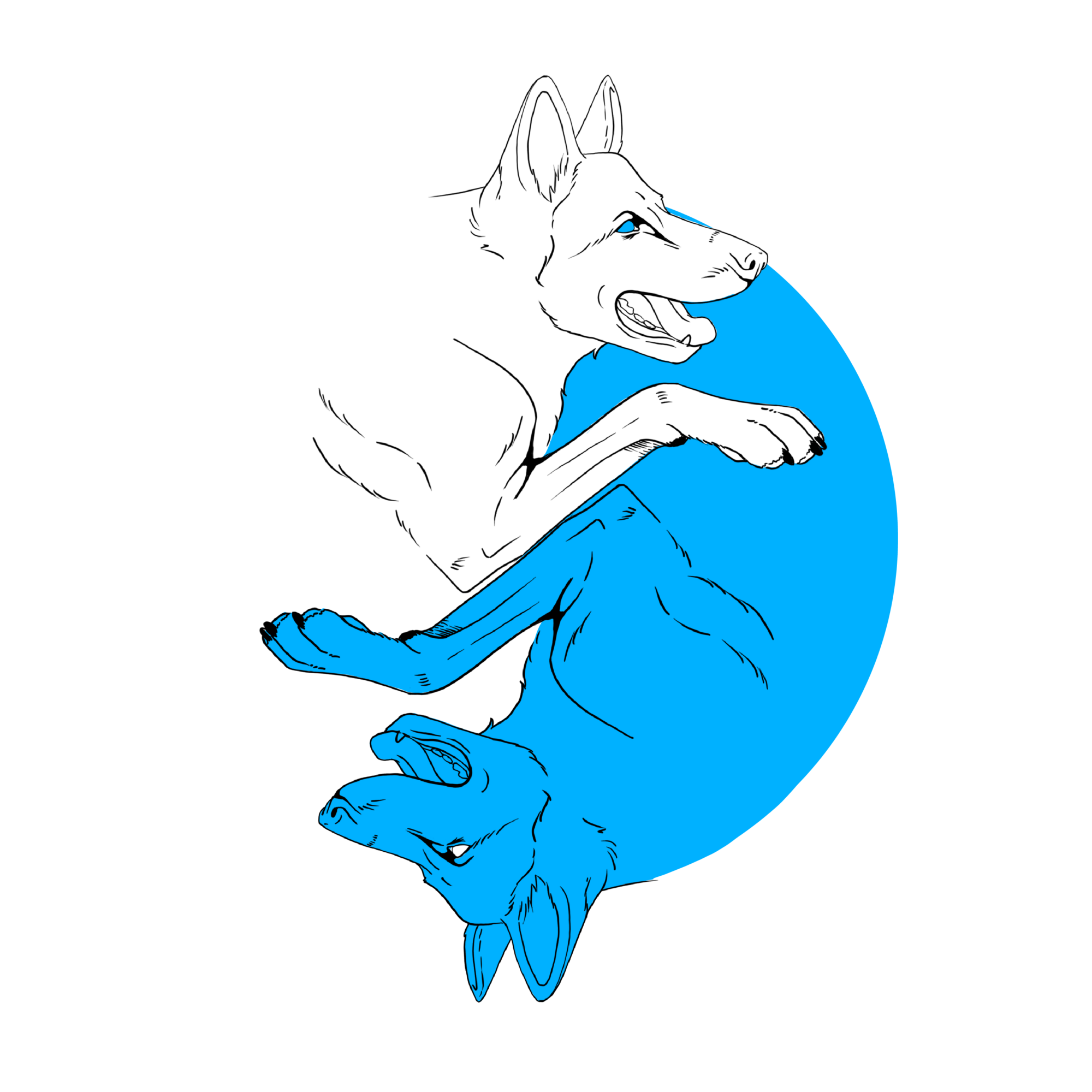 Circular logo with a white and blue dog head, text reads 'Making a Difference for Dogs', black background.