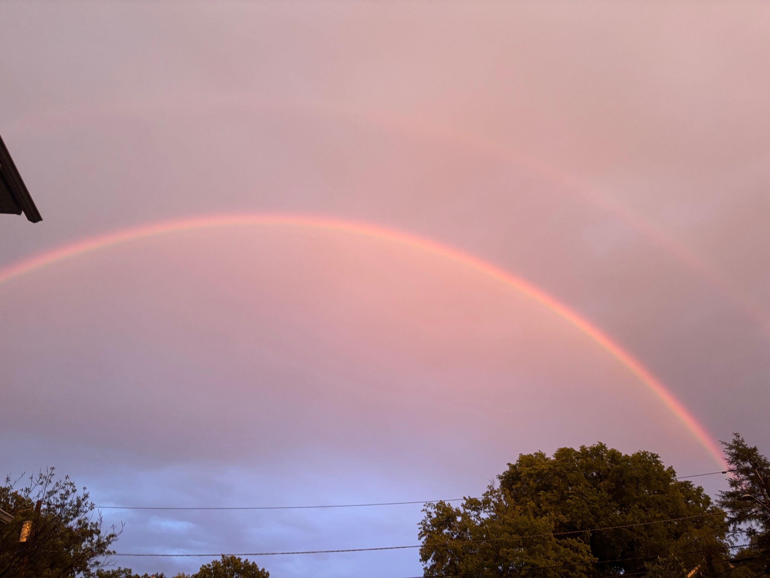 Rainbow arching across a pink and purple sky with trees and power lines below.