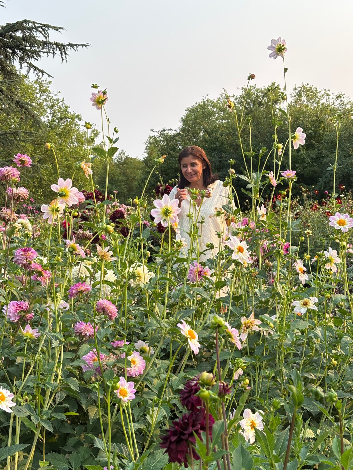 Person standing among pink and white flowers in a garden with trees in the background.