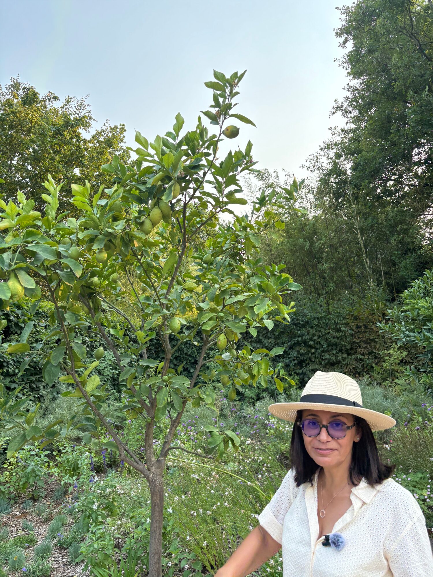 Woman wearing a wide-brimmed hat and sunglasses standing outdoors near a small tree with green leaves.