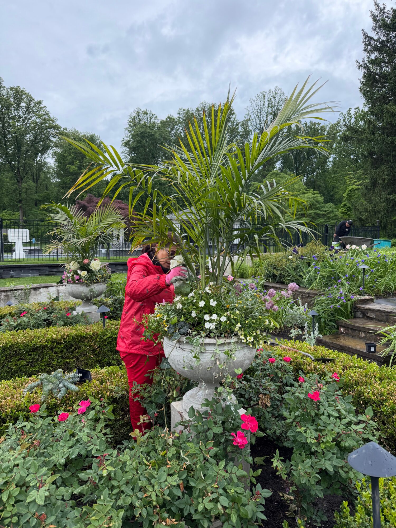 Person in red jacket tending to a garden with various flowering plants and greenery.