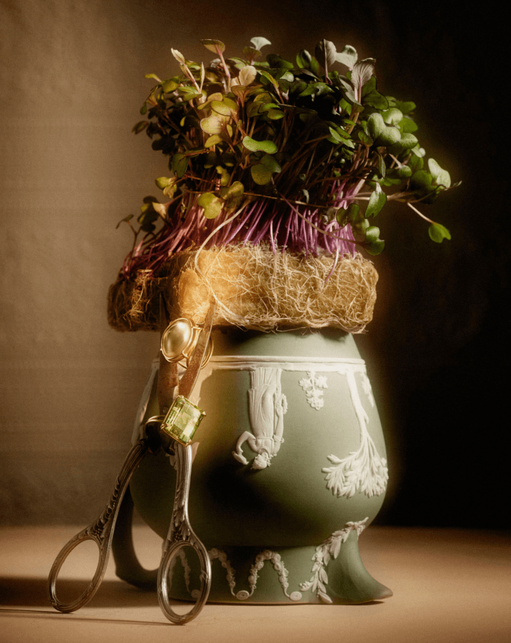 A potted plant with green leaves and purple stems in a decorative green and white ceramic vase, with gardening tools nearby.