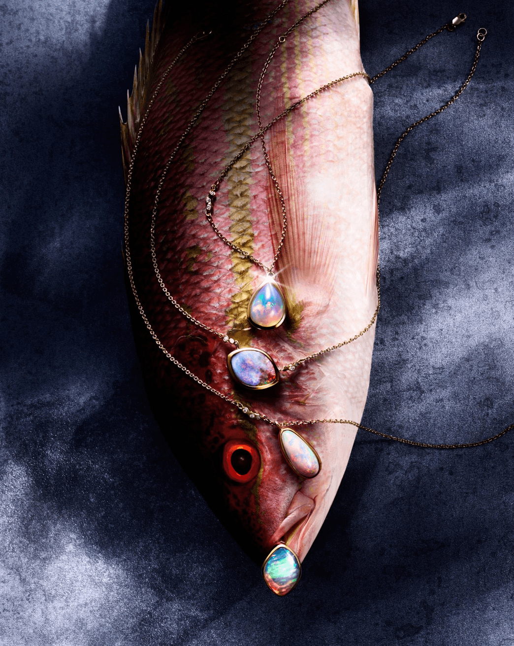 A fish with jewelry and feathers on a dark background, with necklaces and a pendant, viewed from the side.