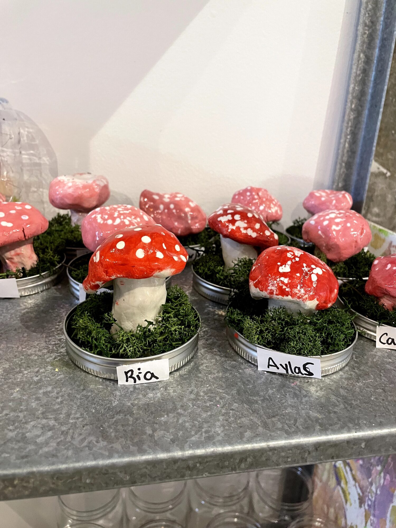 Collection of pink and red mushroom-shaped decorations on a gray surface, labeled with names, with greenery and a glass jar in the background.
