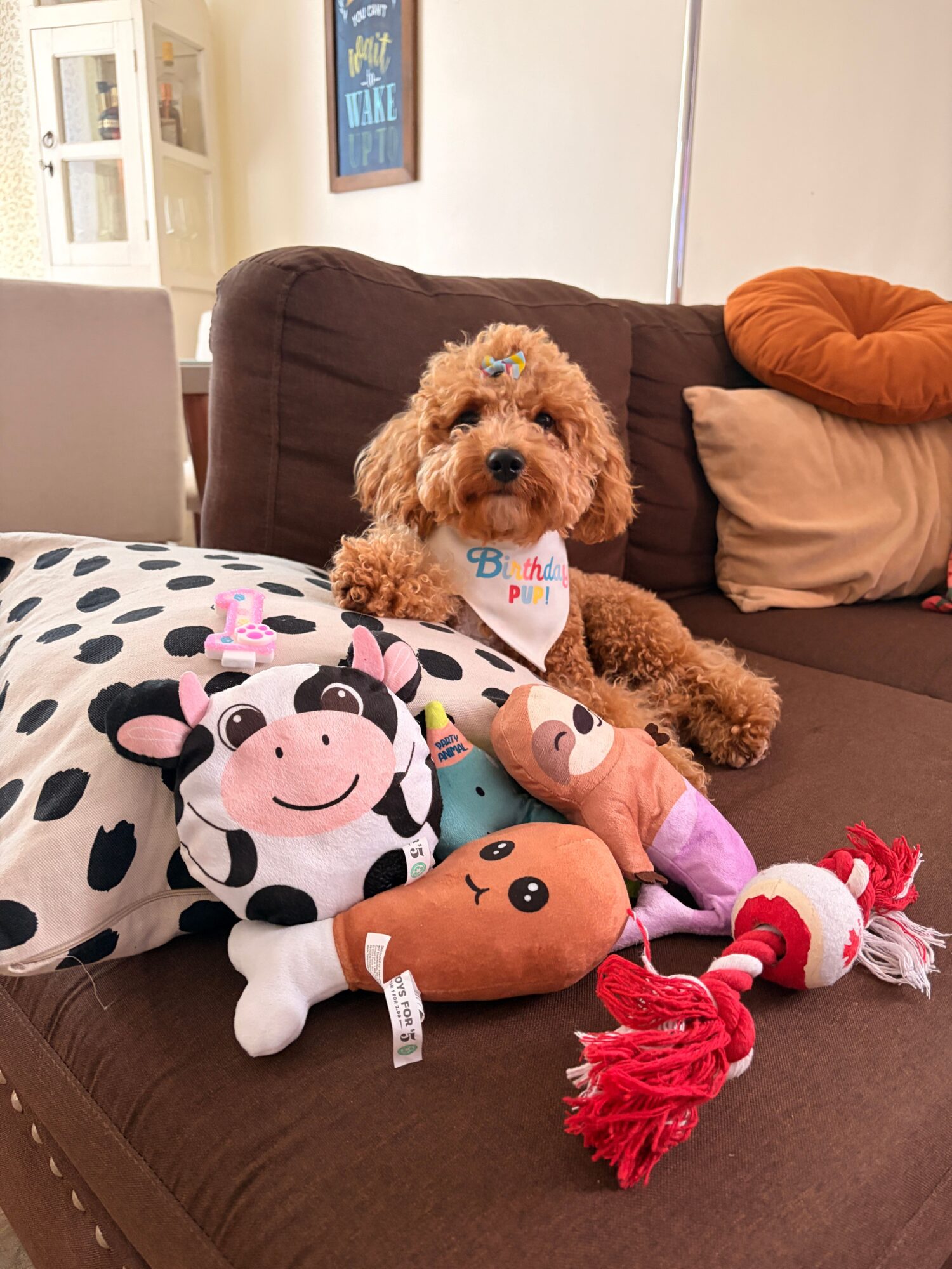 Small brown dog lying on a couch surrounded by plush toys, including a cow, a reindeer, and a red-haired doll.